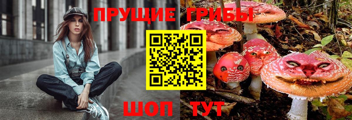 Псилоцибиновые грибы ЛСД Каспийск
