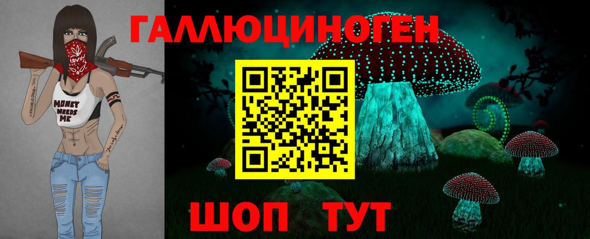 Галлюциногенные грибы Magic Shrooms  Вход с VPN  Каспийск  Галлюциногенные грибы GOLDEN TEACHER 